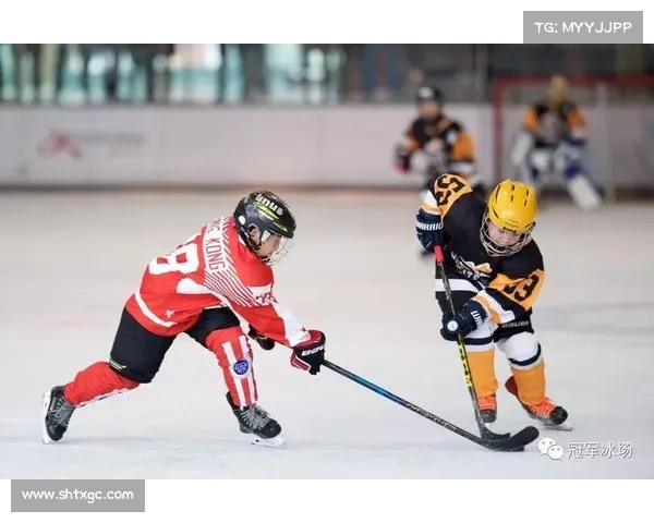 香港篮球赛事热血沸腾精英球队激烈角逐球迷狂热支持精彩对决时刻